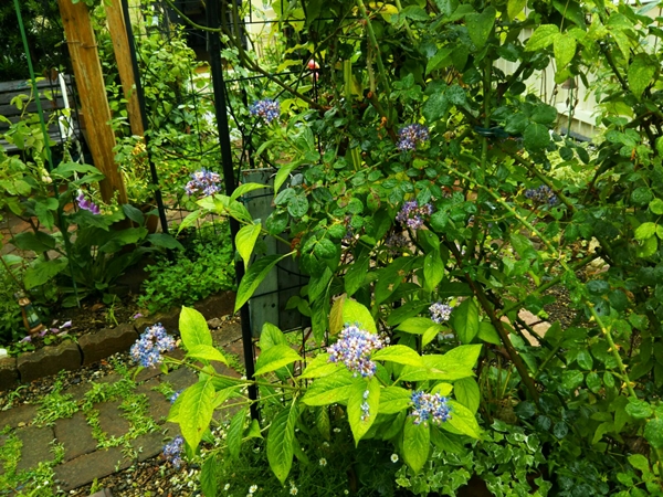 f0366679_23282398.jpg