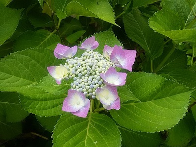 f0215580_10592852.jpg