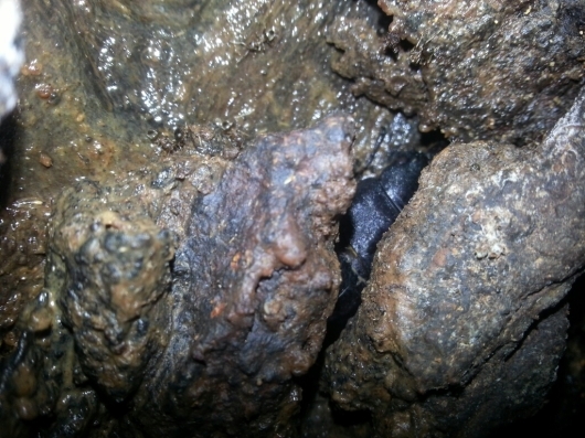 f0183484_04243361.jpg