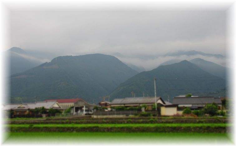 d0367190_20355718.jpg