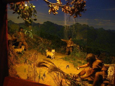 d0160692_13051000.jpg