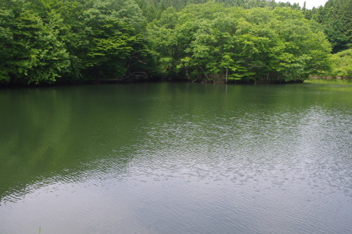 c0337494_16423254.jpg