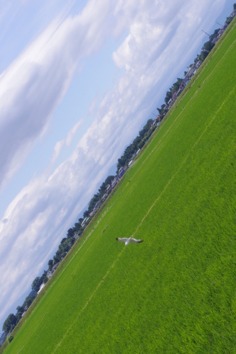 c0337494_16442997.jpg