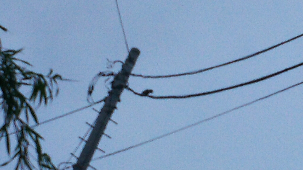 c0128896_05261847.jpg