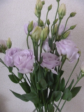 f0373098_23112805.jpg