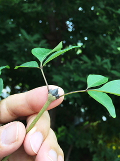 c0039501_18055782.jpg