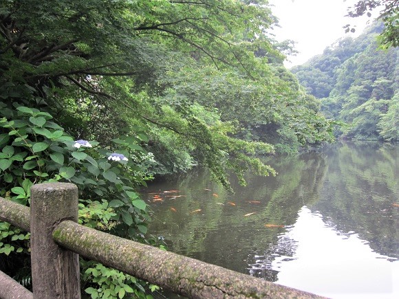 e0245404_20143678.jpg