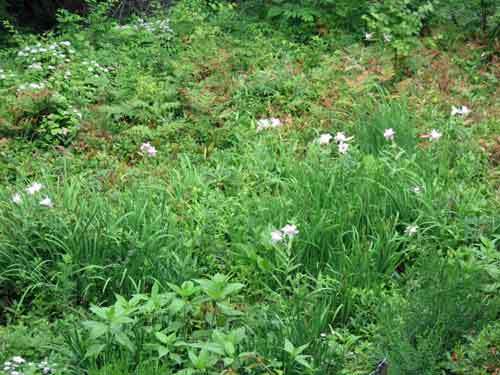 e0001110_08083000.jpg
