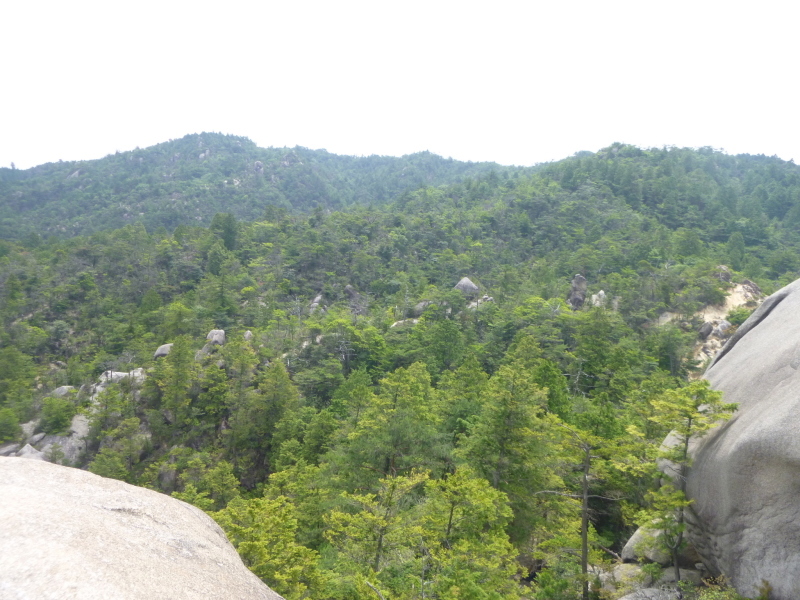 d0170615_20413002.jpg