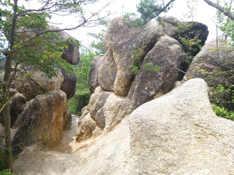 d0170615_20431314.jpg