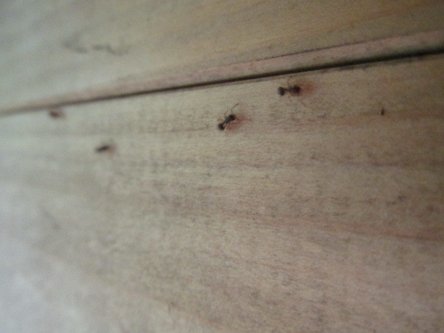 f0341616_15571624.jpg