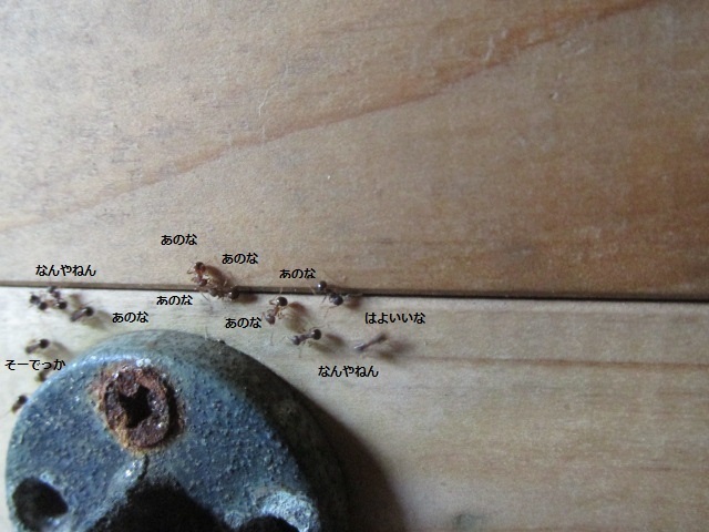 f0341616_16043218.jpg