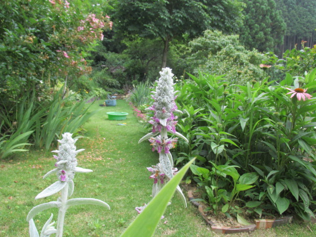 f0341616_16114329.jpg