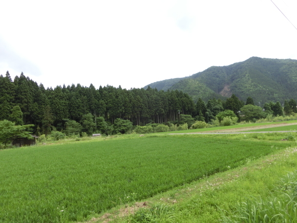 c0221718_19544656.jpg
