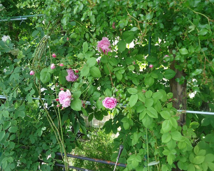 b0248920_00281309.jpg