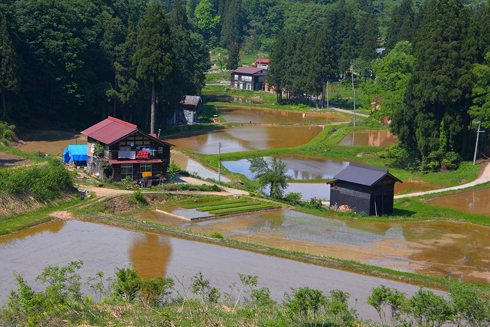 d0175022_137428.jpg