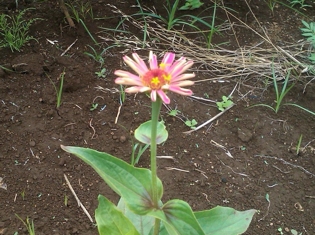 b0137932_16492808.jpg