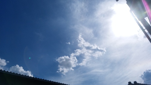 c0264343_23223464.jpg