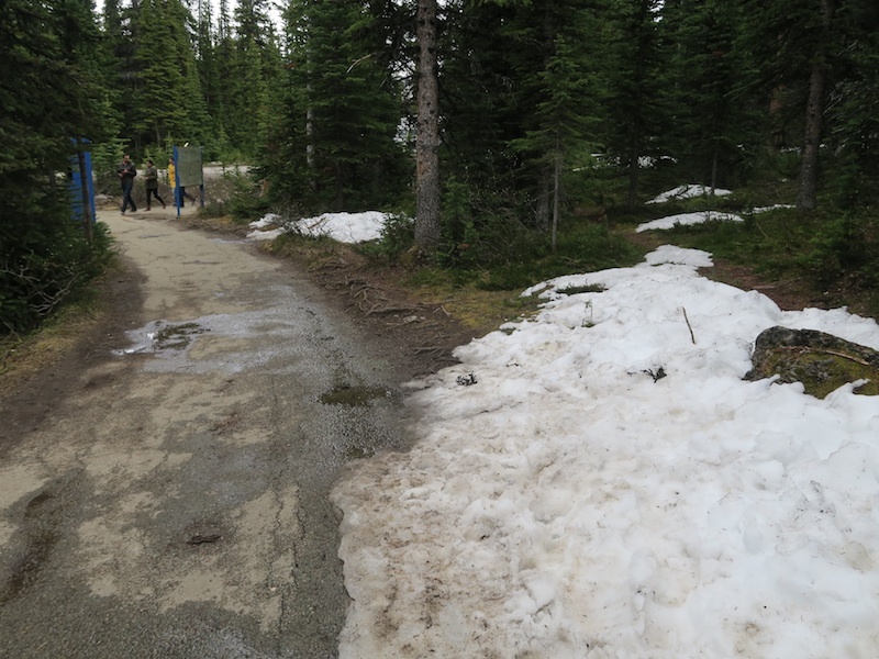 b0090654_22553548.jpg