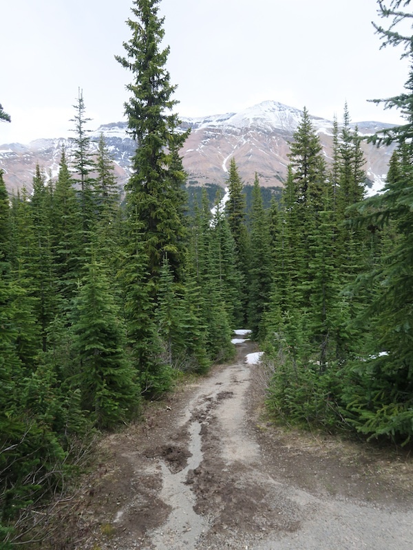 b0090654_22555084.jpg