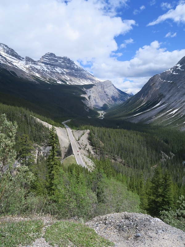 b0090654_23000006.jpg