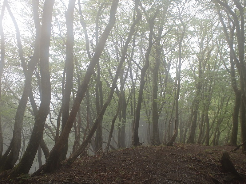 c0097754_11292938.jpg
