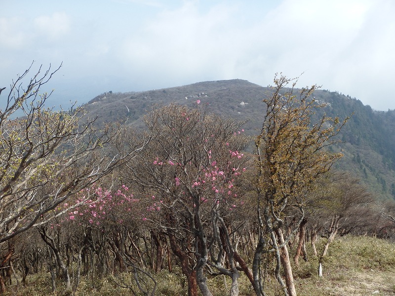 c0097754_11340385.jpg