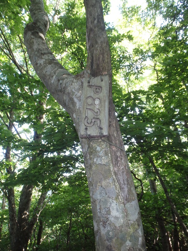 c0097754_14233052.jpg