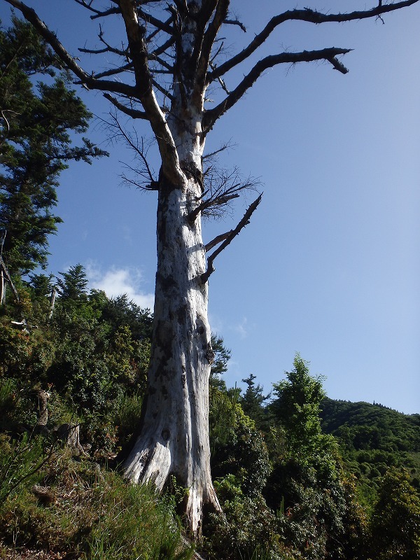 c0097754_14251101.jpg