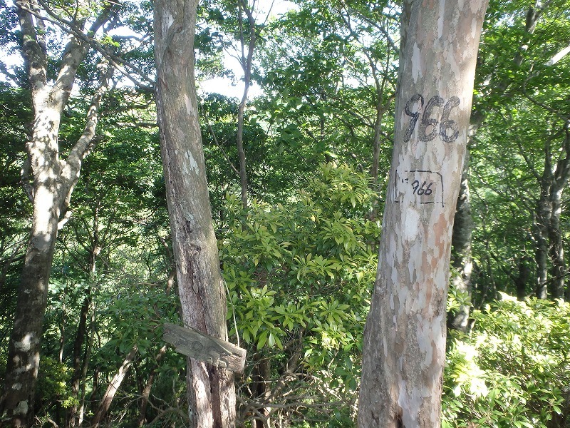 c0097754_14255392.jpg