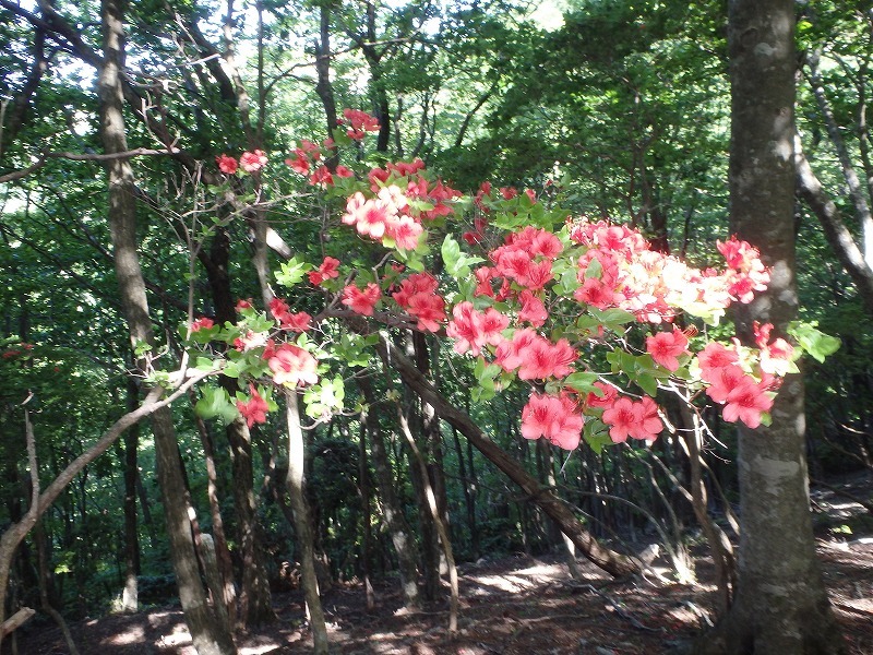 c0097754_14264844.jpg