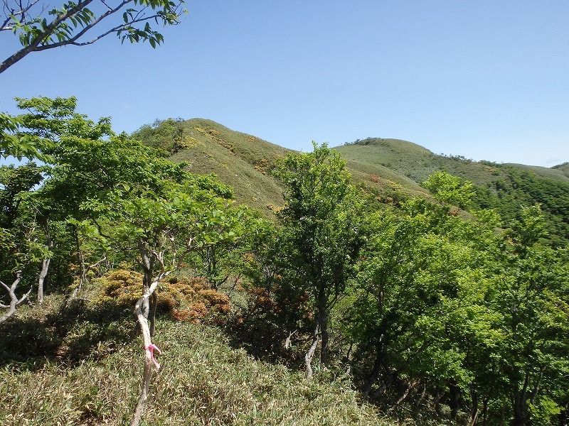 c0097754_14310495.jpg