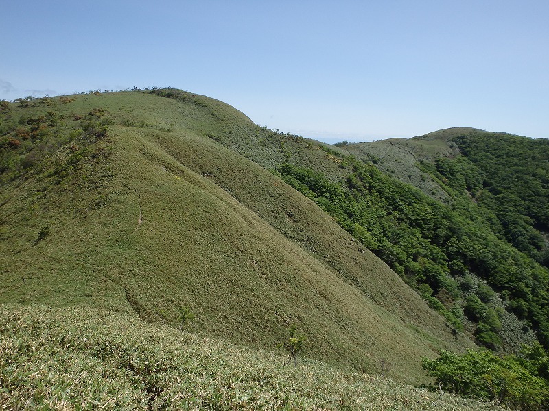 c0097754_14320000.jpg