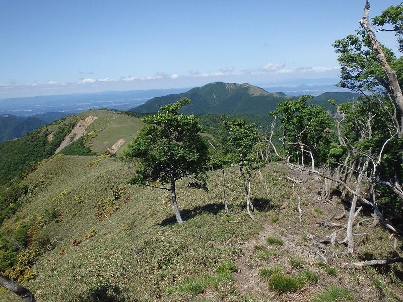 c0097754_14332301.jpg