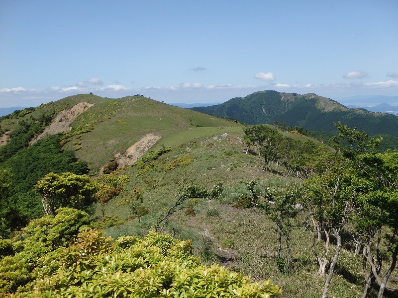 c0097754_14350315.jpg