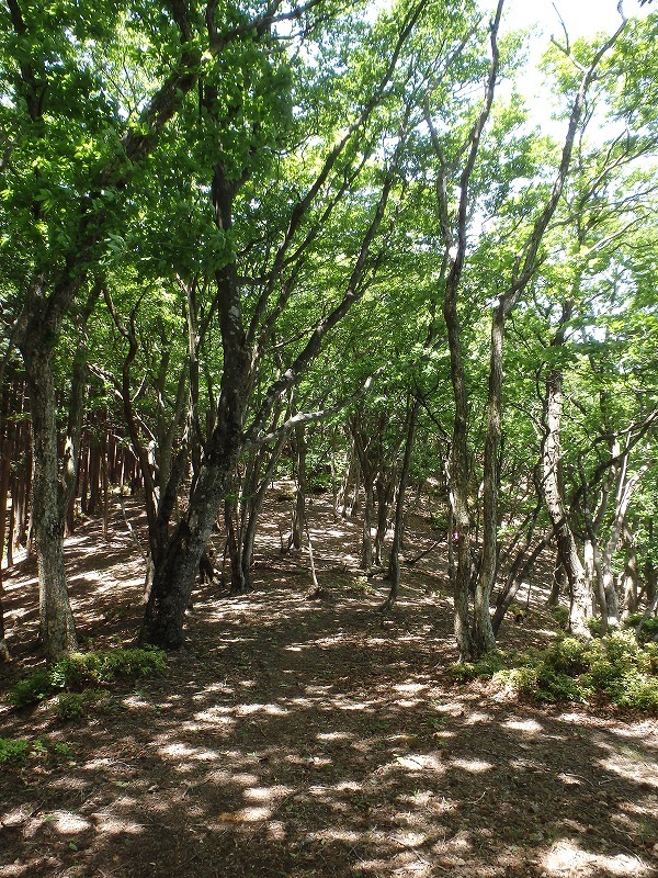 c0097754_14392444.jpg