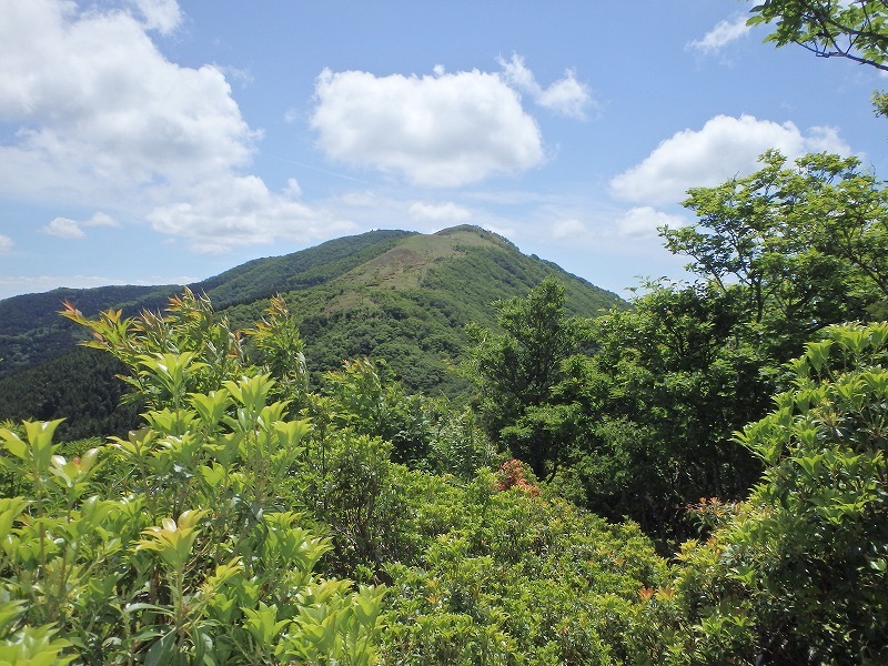 c0097754_14433679.jpg