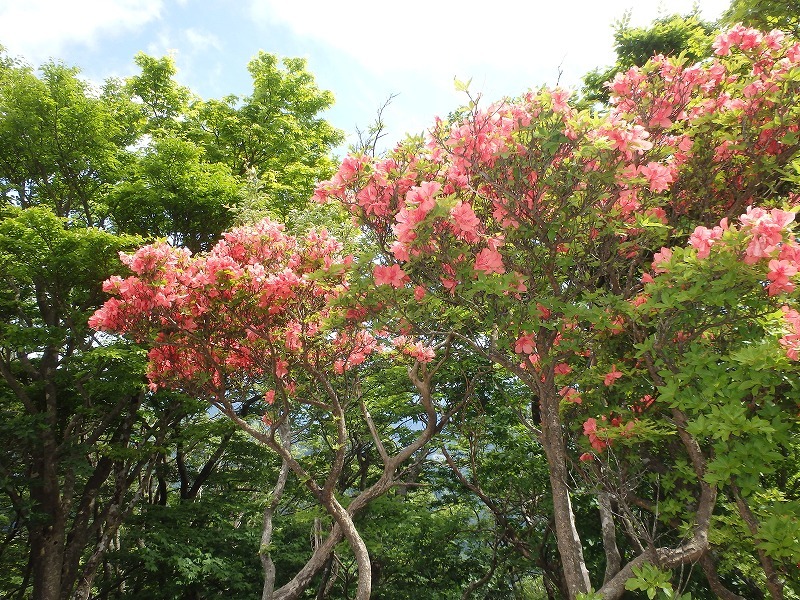 c0097754_14465125.jpg