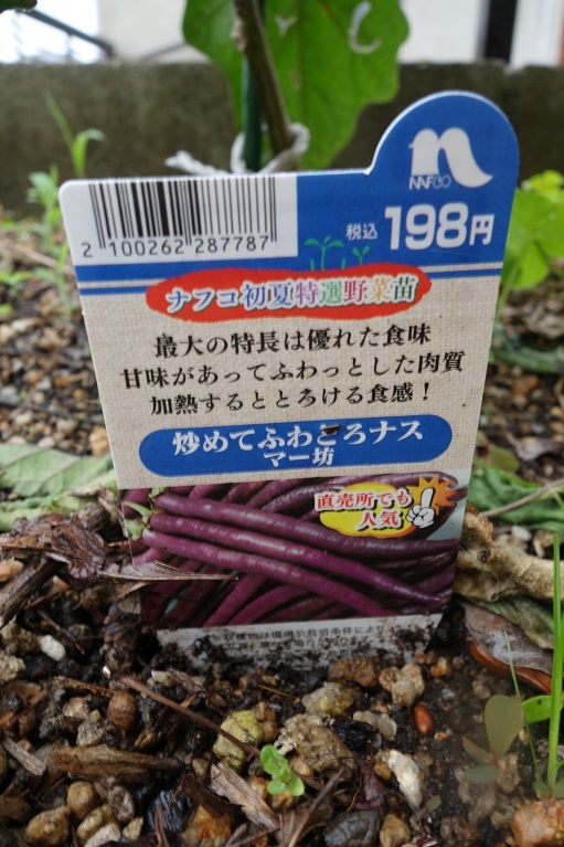 c0236857_08070455.jpg
