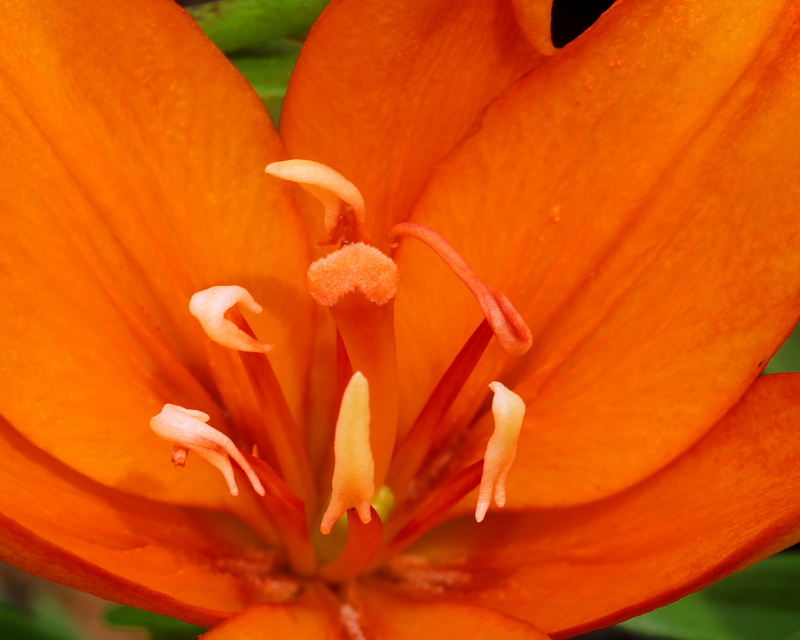 c0305565_17511323.jpg