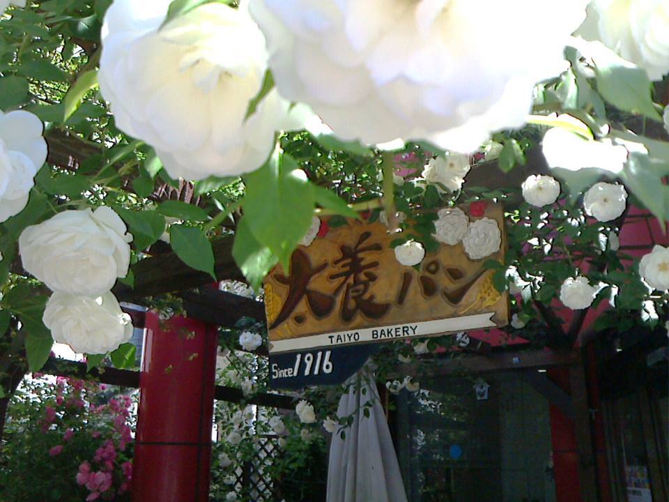 b0125570_10403617.jpg