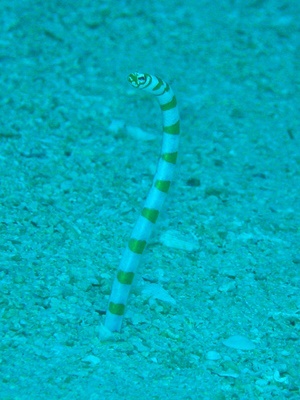 b0033573_18510465.jpg