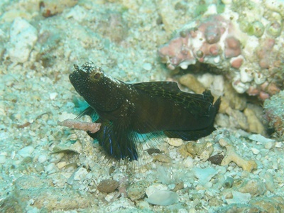 b0033573_18511451.jpg