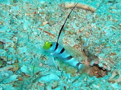 b0033573_18515627.jpg