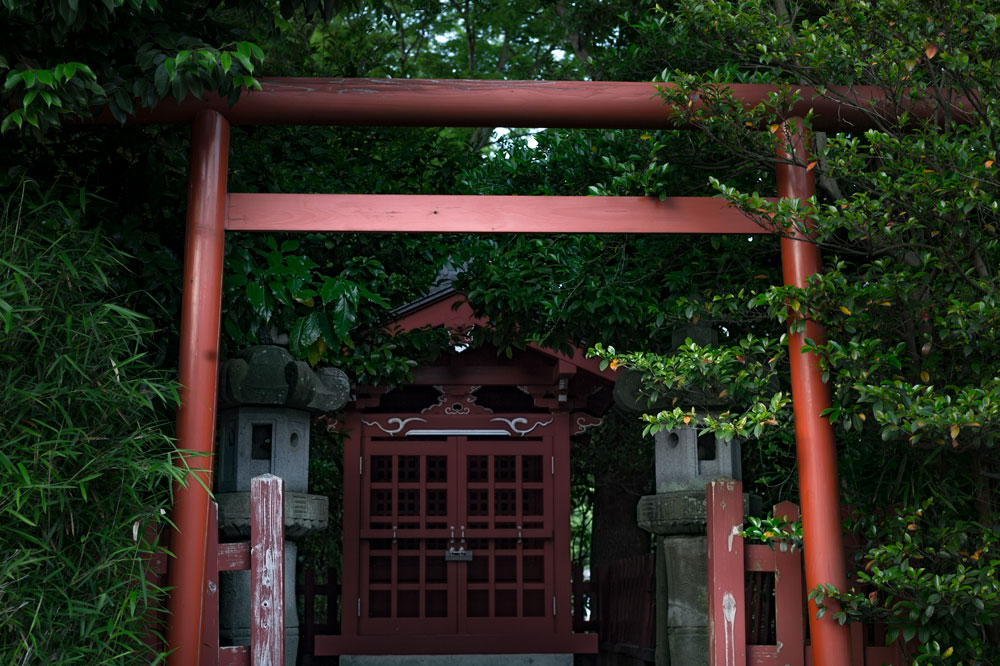 c0108673_23464776.jpg