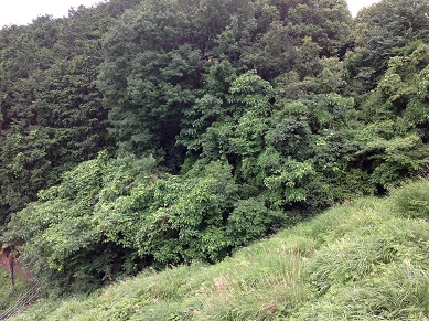 f0097677_8383889.jpg