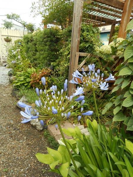 f0366679_20104815.jpg