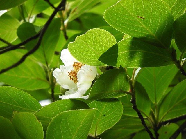 f0378979_15060868.jpg