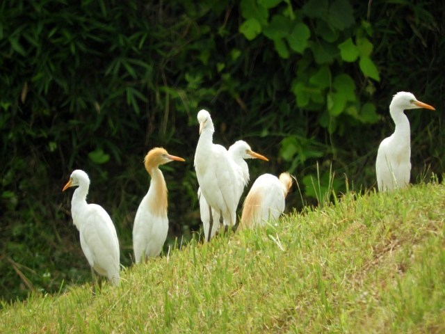 f0378979_15094405.jpg