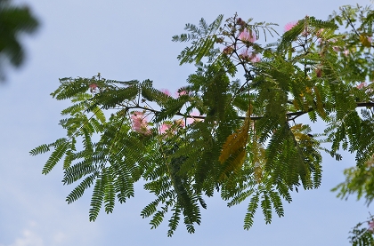 c0229483_0285760.jpg